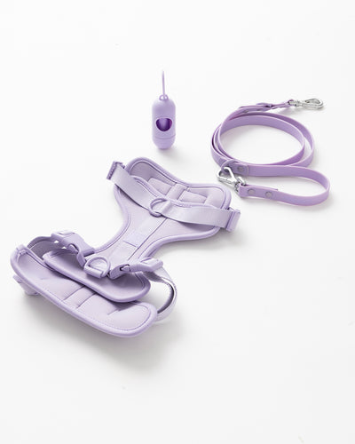 Common Lilac Harness Kit